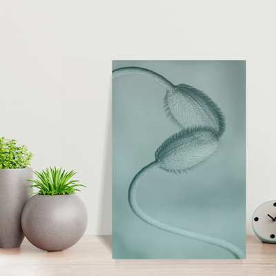 Molly Fu APA - Wrapped Canvas Print