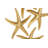 4 Piece Starfish Wall Décor Set-1158703741
