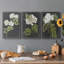 «Dramatic White Flowers II», ensemble de 3 impressions sur toile tendue-114434646