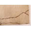 Tapis ivoire Mystique 3 pi 0 po x 9 pi 9 po