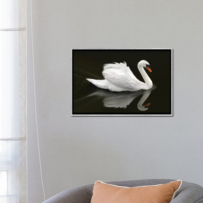 " Swan " by Ben Heine