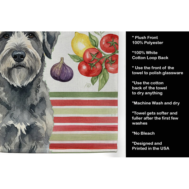 Torchon gris Bouvier des Flandres, Grey Bouvier des Flandres