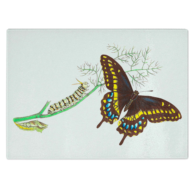 Tempered Glass Caterpillar and Butterfly Chopping Board, 39 cm W x 28.5 cm L
