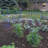 Bowermaster Metal Weather Resistant Plant Support-27157352-27157358