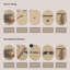 Wall Mounted Coat Rack