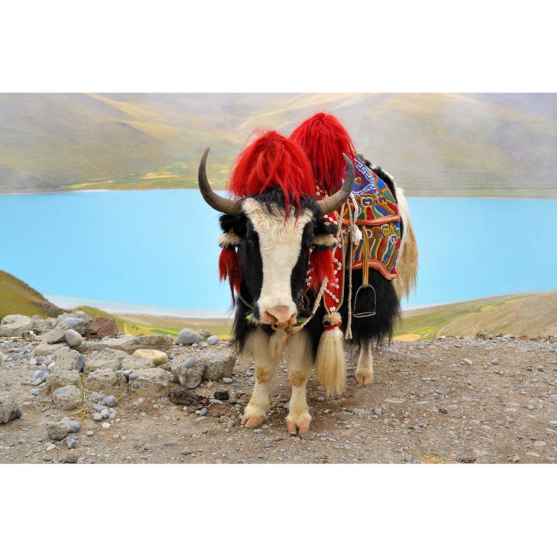 Tibet tibétain - photographie sur toile tendue, L 12 po x H 8 po