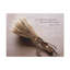 «Shall He Reap Galatians 6: 7 Bible», art textuel sur toile tendue-1224847354