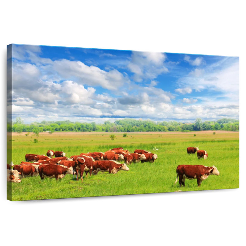 Brampt Grazing Hereford Cows, 8" H x 12" W