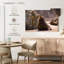 Phoque bronzant-114307981