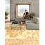 Oriental Indoor Rug