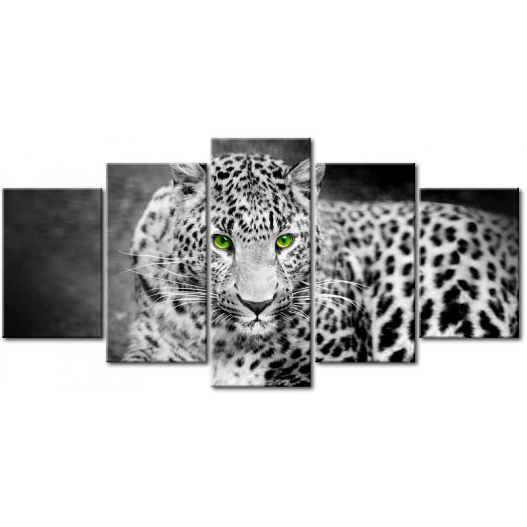 5-tlg. Leinwandbilder-Set Leopard