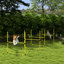 4 Piece Adjustable Height Dog Agility Training Kit With Portable Carry Bag In Yellow - Outfit Jump Bars And Case