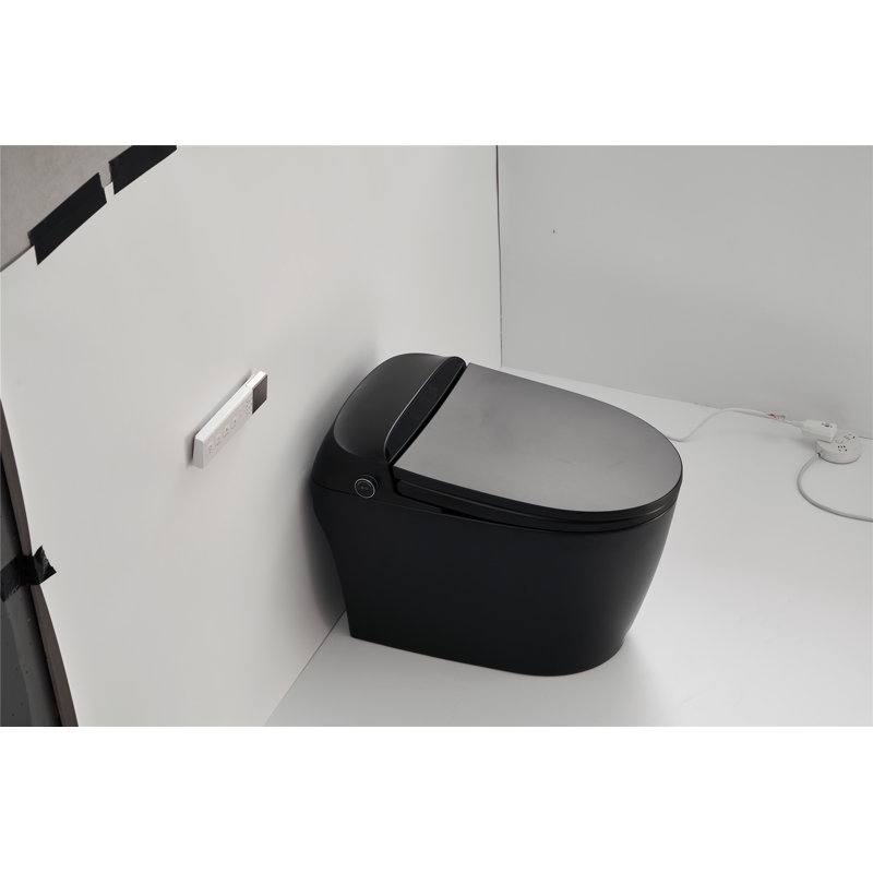 Creationstry GPF Elongated Floor Mounted Bidet Toilet (Seat Included), Black