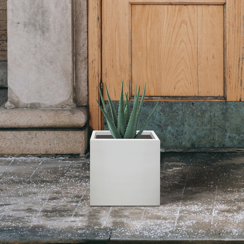 Pot de fleurs en béton Nidorf, Blanc pur, H 12,6 po x l 12,6 po x P 12,6 po