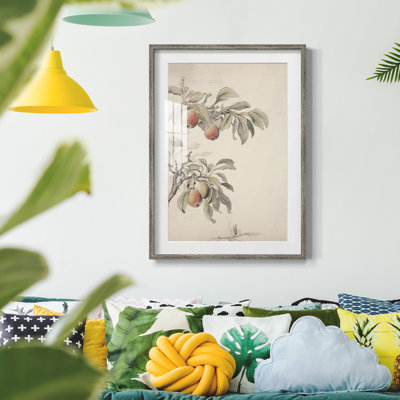 Vintage Floral Print XIV -Framed Print