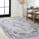 Frutuosa Bohemian Distressed Chenille Machine-Washable Gray/White Rug