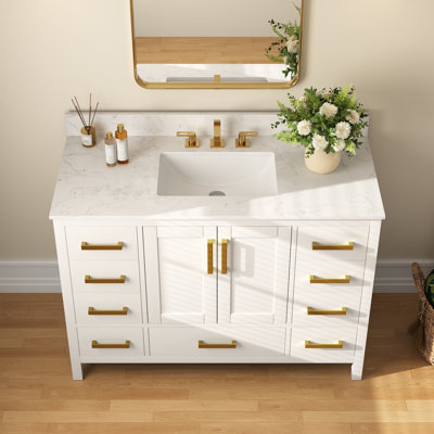 48'' Fully Assembled Single Bathroom Vanity with Backsplash