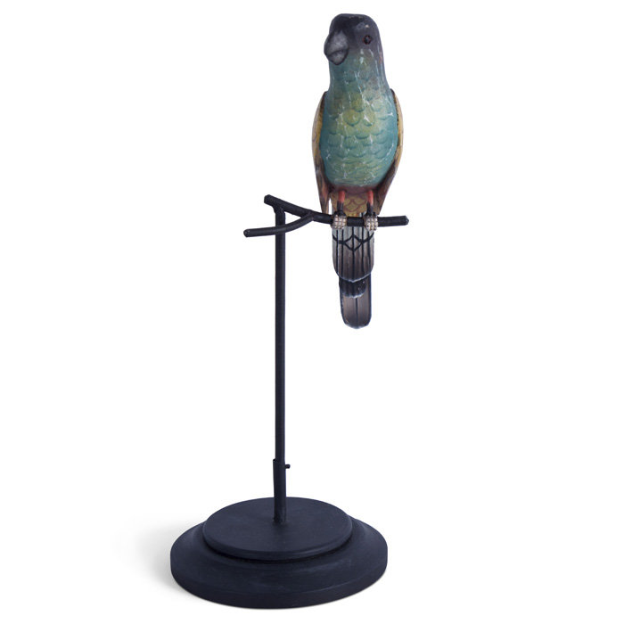 Hooded Parrot