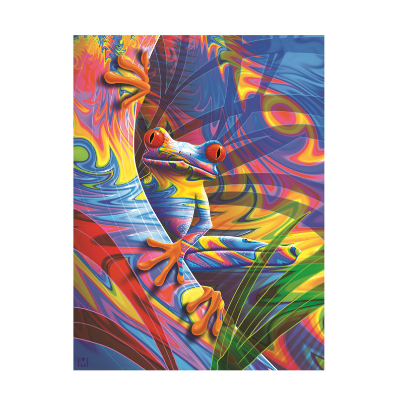 Art sur toile, grenouille psychédélique, Michael David, H 14 po x l 19 po