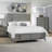 Mid-Century Modern Bed Frame-1629813655