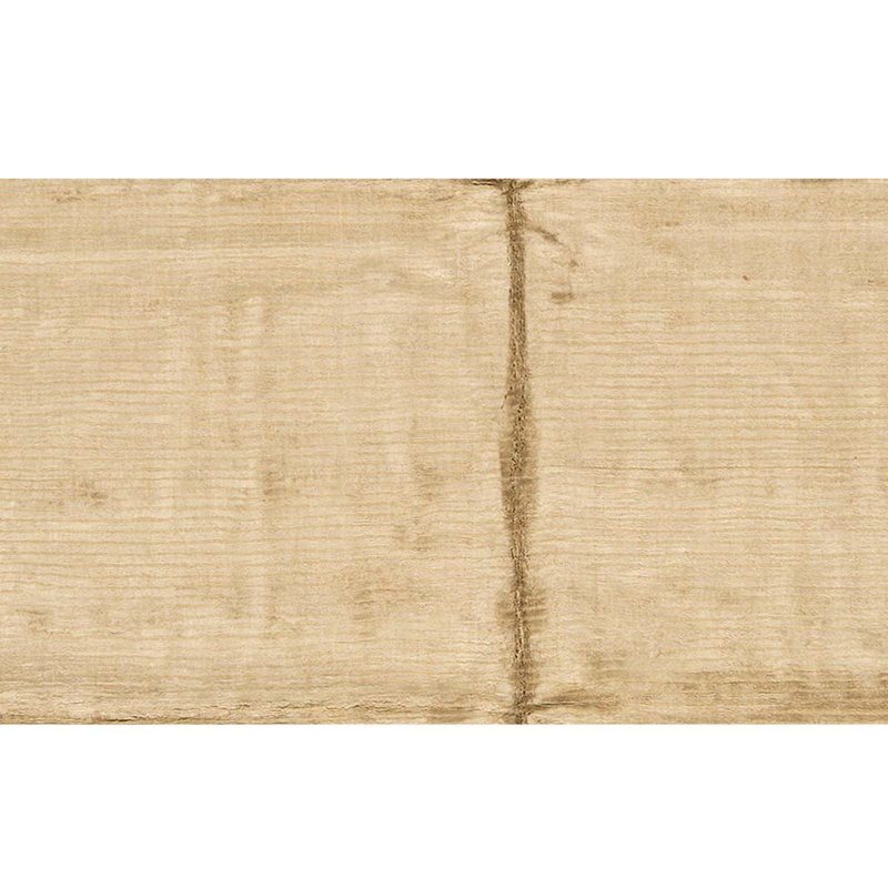 Area Rug in Beige