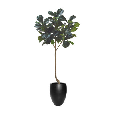 7' Fiddle Leaf Tree with Fiberstone Planter