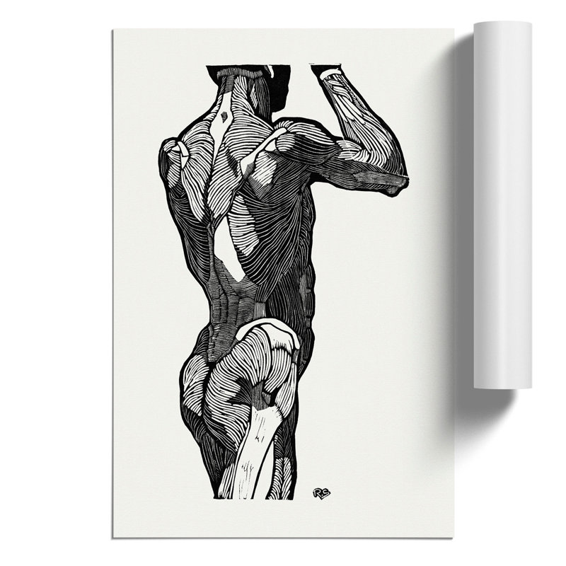 Anatomical Study Of A Man Vol.1 by Reijer Stolk - No Frame Painting, 59cm H x 42cm W x 0.1cm D