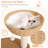Falaq 35'' H Cat Tree
