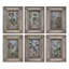 Framed Bird And Floral Aged Print Collection Set of 6