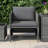 Patio Chair with Cushions