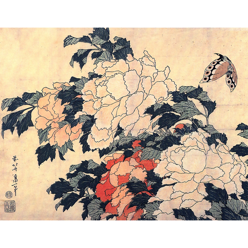 Adhésif mural pivoines et papillon, H 14 po x l 18 po