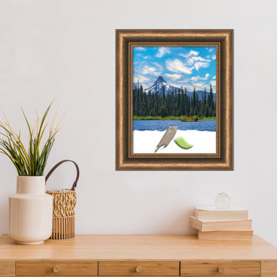 Ackart Bronze Wood Picture Frame with Mat