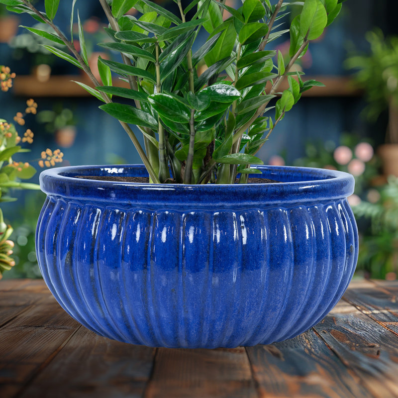 Outdoor Ceramic Ribbed Bowl Planter - Imperial Blue