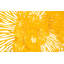 Flower Wall Décor-573443686