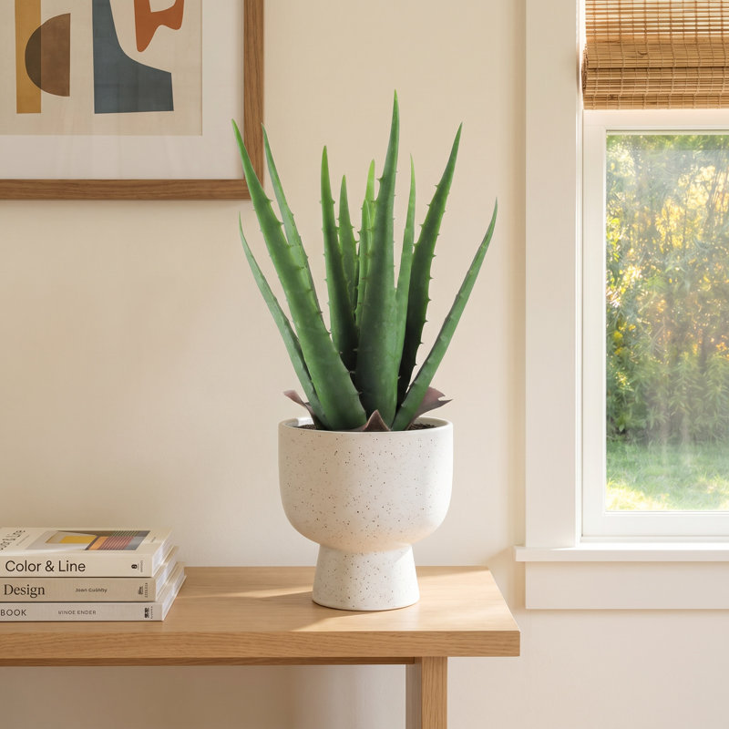 Artificial Aloe Succulent Plant in Pot, 13.5"H x 9" W x 9" D