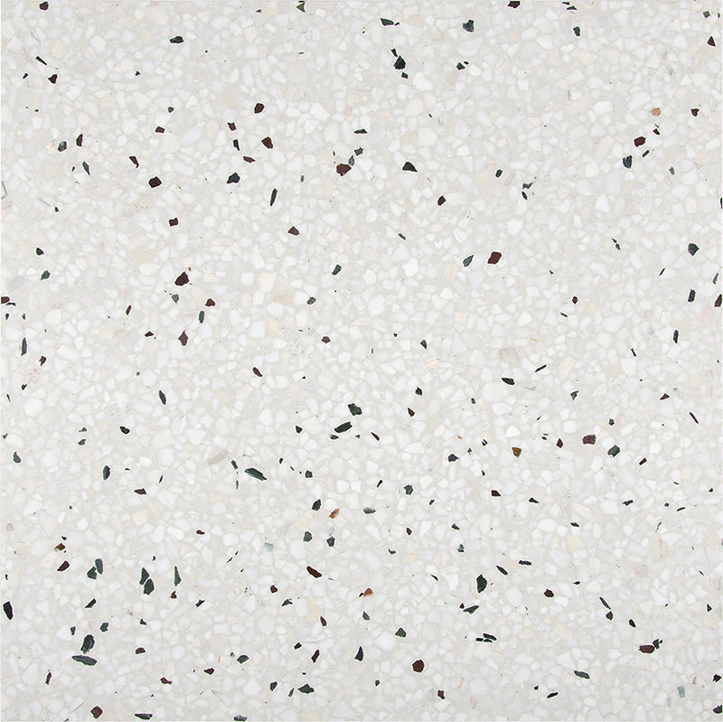 White and Beige Polished 24x24 Real Terrazzo Tile, White/Black