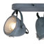 Roark Ceiling Spotlight