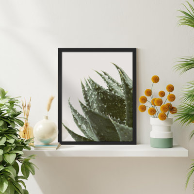 «Green Cactus Succulent Raindrop Water Droplet» sur papier