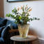  Recycled Glass Ribbed Table Vase-371475516