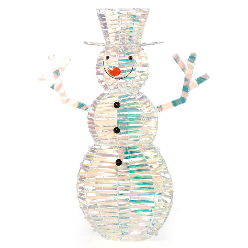 Décoration de Noël illuminée 4 pi avec 100 lumières DEL The Holiday Aisle®