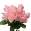 Arrangement floral de roses-1930588605