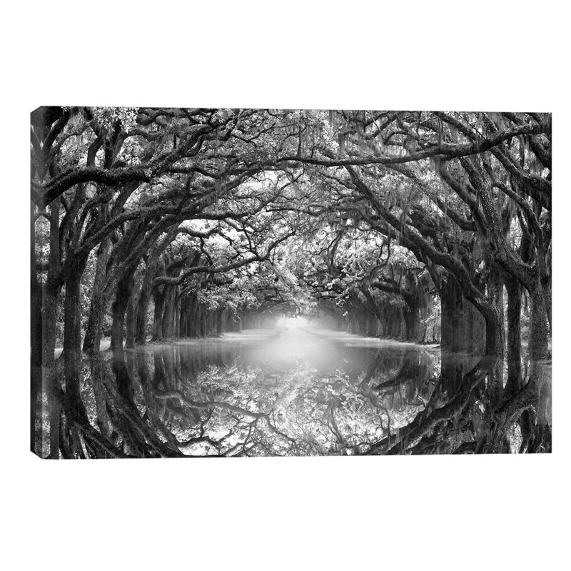Oak Alley Reflection - Print on Canvas, Wrapped Canvas, 101.6 cm H x 66.04 cm W x 3.175 cm D