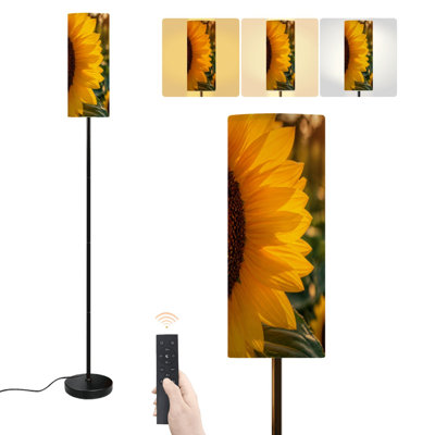 Lampadaire moderne à intensité variable avec télécommande et interrupteur au pied, idéal pour le salon, la chambre ou le bureau. Ce lampadaire à pied haut est parfait pour un coucher de soleil sur une longue tige. Il est parfait pour les yeux et les oreilles.