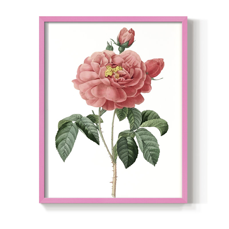 «Botanical Beauty III», reproduction encadrée - bois massif, H 21 po x l 17 po, Rose