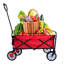 Chariot de plage pliable-111642969