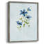 «Blue Wonders II», reproduction encadrée - bois massif 47850-1401563485