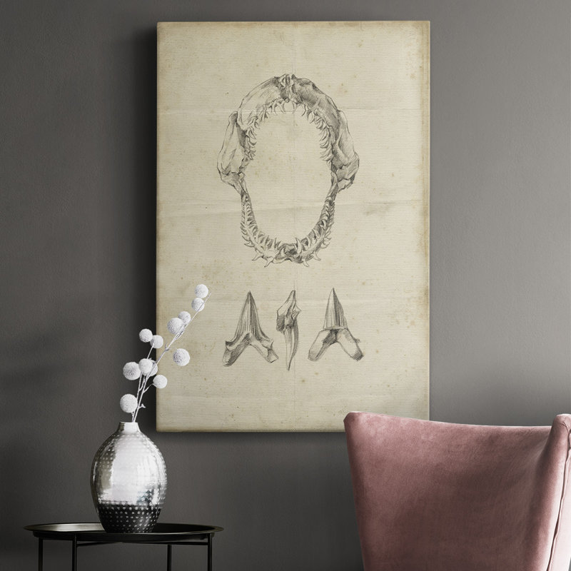Shark Study I " Shark Study I ", 48" H x 32" W x 1.5" D