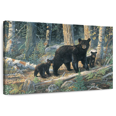 Leçons de la forêt