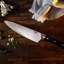 Zline 8” Professional Damascus Steel Chef’s Knife