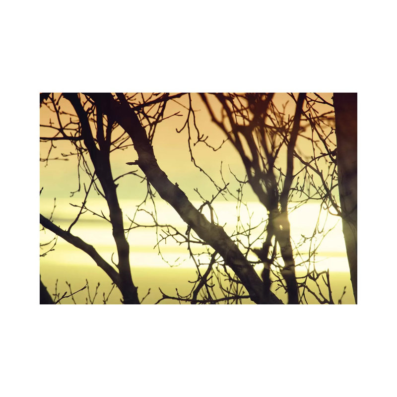Aspen Sunset I by Savanah Plank - Gallery-Wrapped Canvas Giclée on Canvas, 101.6 cm H x 66.04 cm W x 1.91 cm D, Canvas
